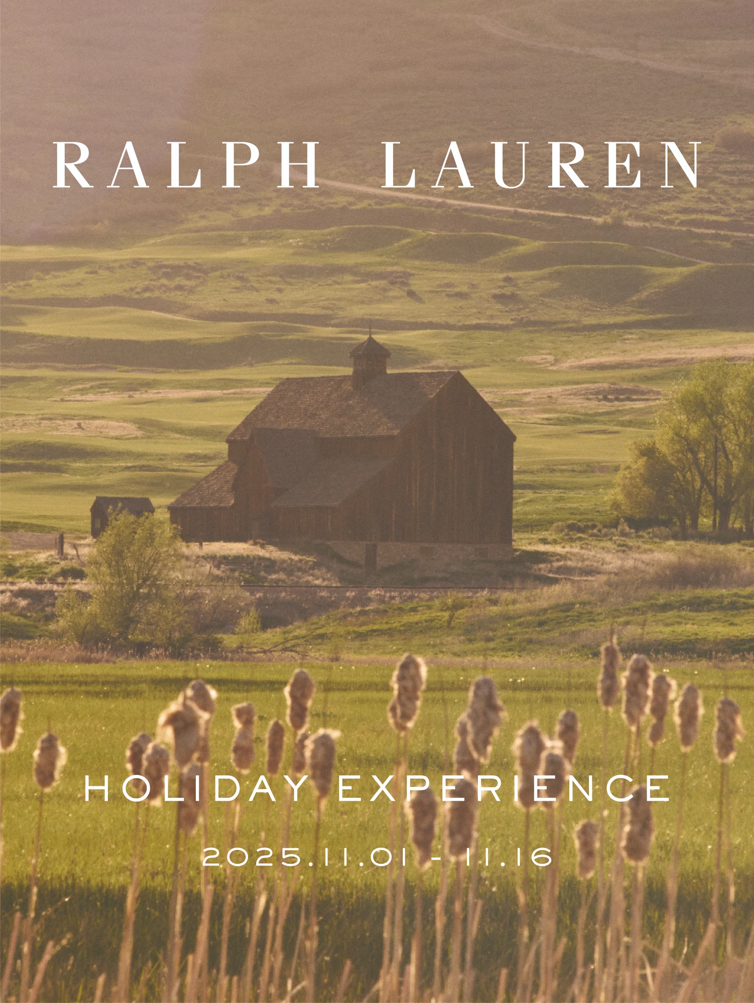 랄프 로렌 팝업.png
