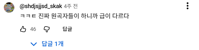 다이나믹듀오의 AEAO 밈을 칭찬하는 댓글