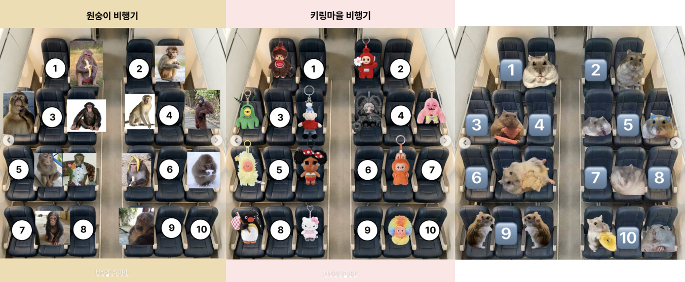 최근 유행하는 비행기 옆좌석을 고르는 밈을 이용한 콘텐츠로, 귀여운 원숭이, 키링, 햄스터 사진을 활용한 마케팅 콘텐츠