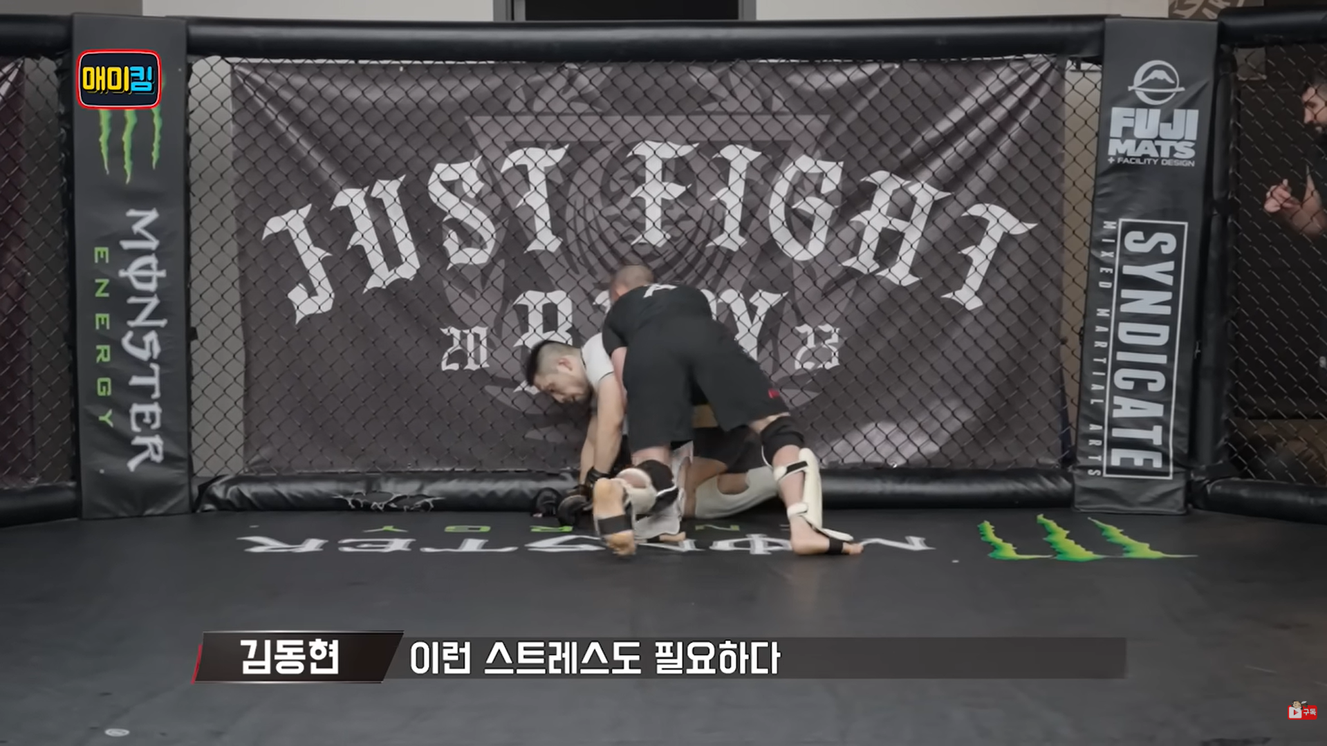 수영 선수의 스파링 장면을 보고 이런 스트레스도 필요하다 멘트를 하는 김동현 선수