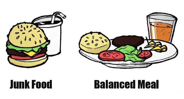 정크푸드 햄버거와 발란스밀 해체된 햄버거