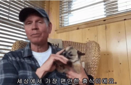 강아지를 쓰다듬는 짤