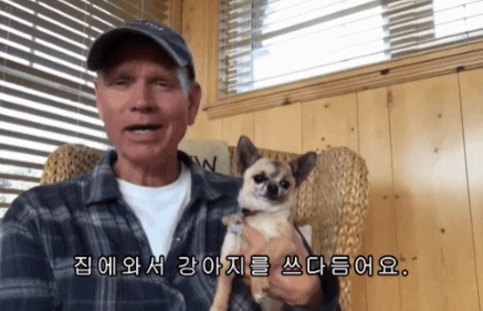 치와와를 쓰다듬는 짤 원본