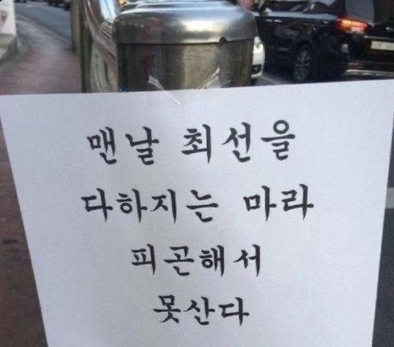 갓생 이후 웰니스가 주목받는 이유