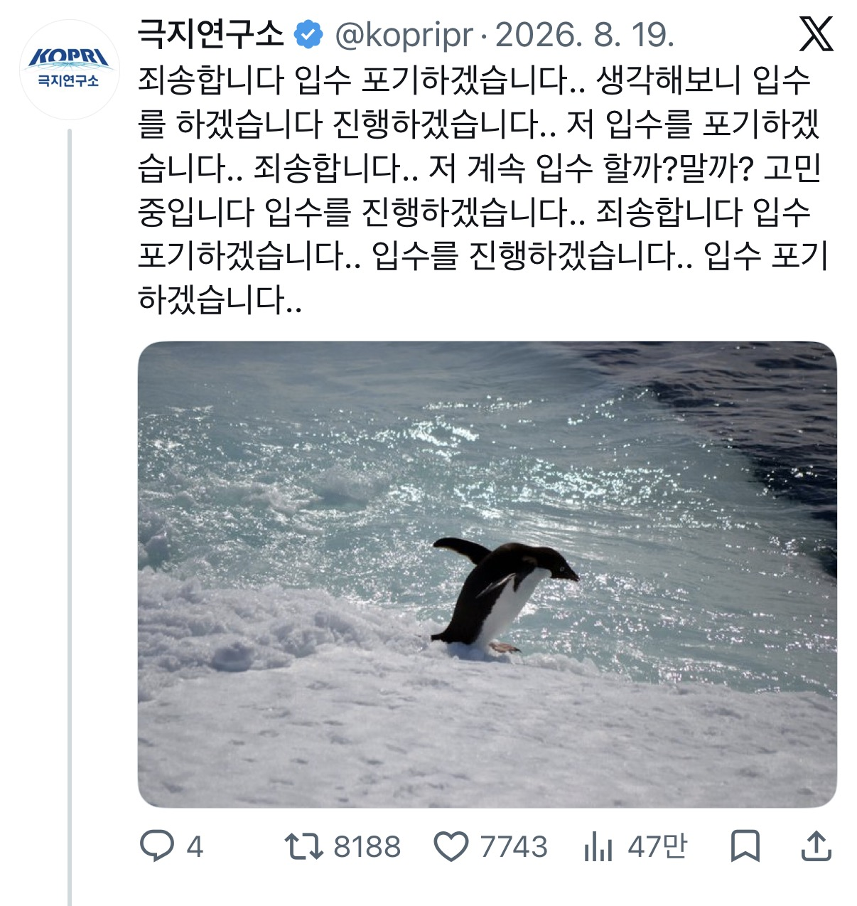 차가운 남극 바다 앞에서 뛰어들기를 망설이는 귀여운 펭귄 사진에 최신 SNS 유행어 패턴을 결합해 웃음을 자아낸 극지연구소 공식 엑스 트위터 패러디