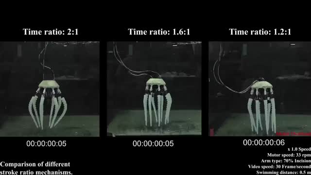 1745942969695.jpeg