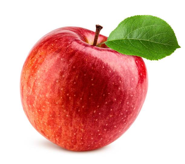 istockphoto-1439436349-612x612.jpg