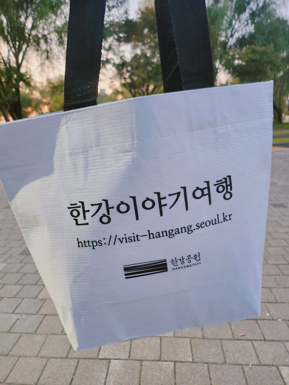 이미지 보기
