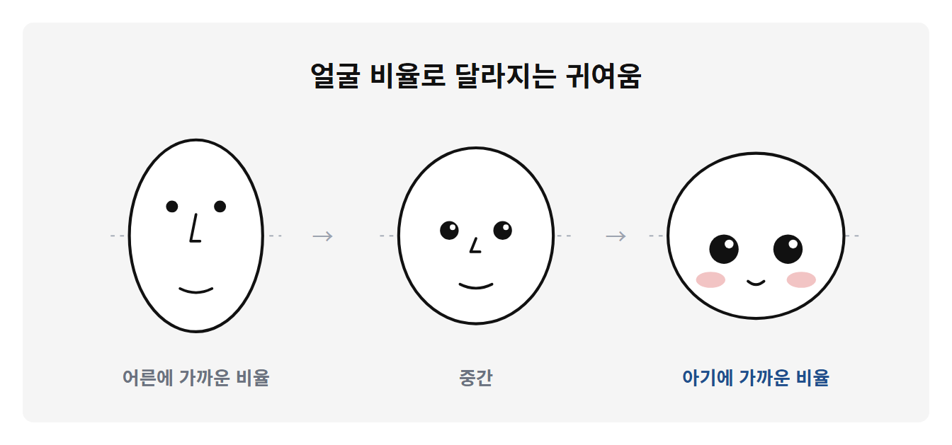 선으로 그린 얼굴 세 개가 왼쪽에서 오른쪽으로 놓여 있다. 왼쪽은 길쭉한 얼굴에 작은 눈이 위쪽에 있고 코가 있는 어른 비율, 가운데는 중간 비율, 오른쪽은 둥근 얼굴에 큰 눈이 가운데선 아래로 내려오고 볼터치가 있는 아기 비율이다