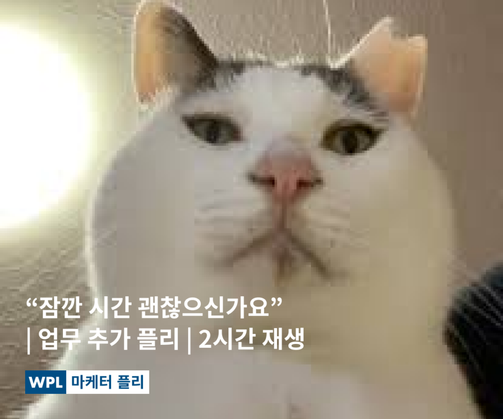 [PLAYLIST] 잠깐 시간 괜찮으신가요? | 업무 추가 플리 | 2시간 재생 썸네일